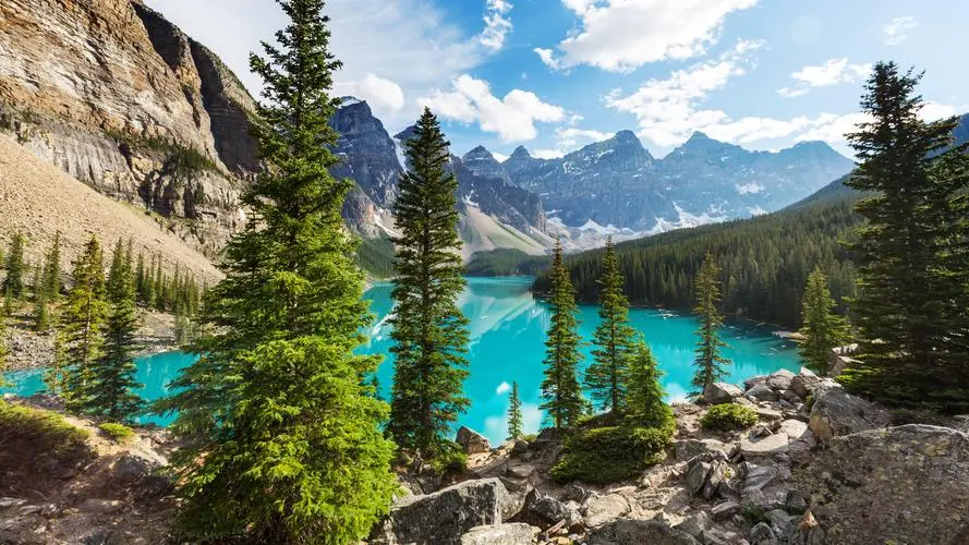 自动化智慧工厂高端